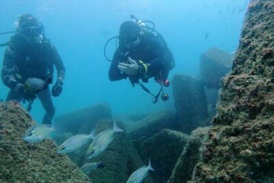 Pleasure Scuba Diving in Fujairah for Certified Diver - Instructor briefing and certification matching (minimum junior open water)