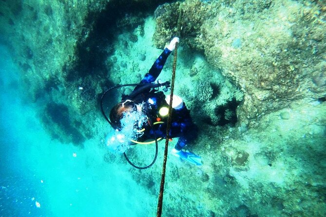 Pleasure Scuba Diving in Fujairah for Certified Diver - Reef-spotting without stress: turtles, rays, and coral tricks