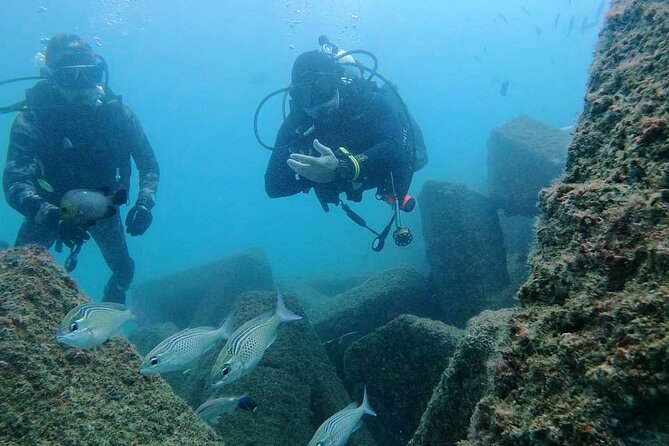 Pleasure Scuba Diving in Fujairah for Certified Diver - Instructor briefing and certification matching (minimum junior open water)