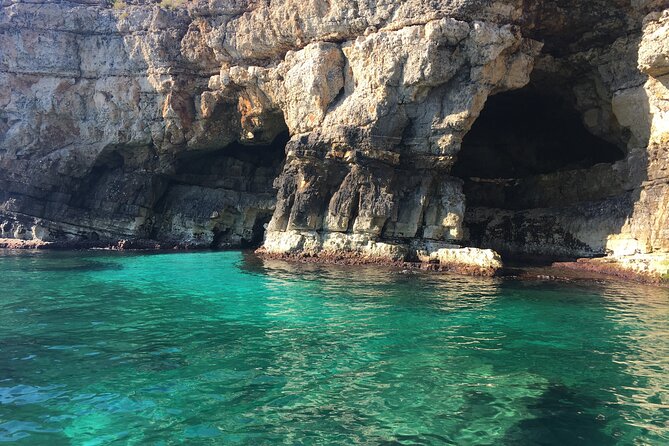 Polignano a Mare boat tour emotions, caves, diving and appetizers - Polignano’s Sea Caves: The Real Reason This Tour Exists