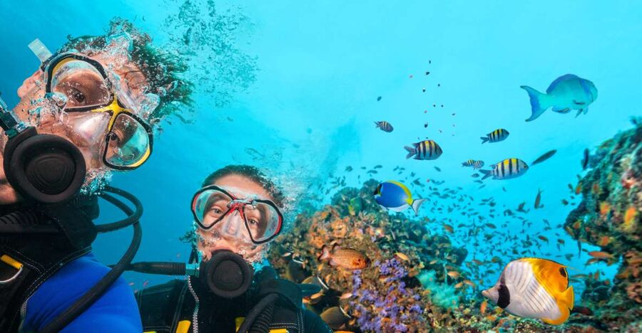 Polignano a Mare: Scuba Experience with certification - Your timeline: what 2 hours of underwater time feels like