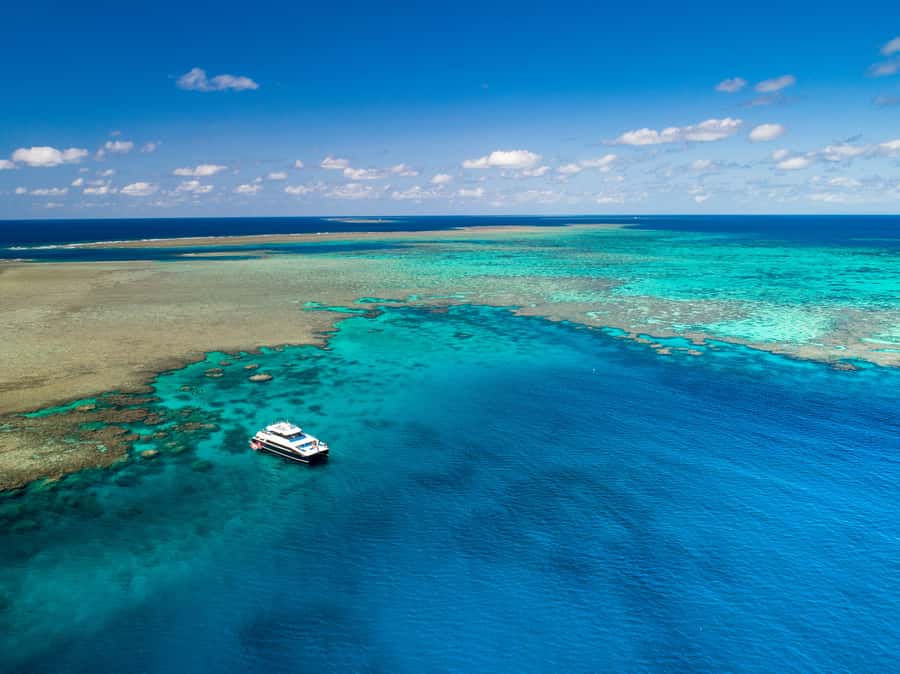 Port Douglas: Outer Barrier Reef Snorkel and Dive Options - Key highlights worth knowing before you go