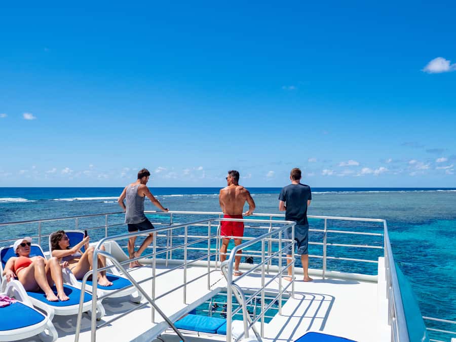 Port Douglas: Outer Barrier Reef Snorkel and Dive Options - Reef Stops Two and Three: Turtles, Giant Clams, and the Best Kind of Variety