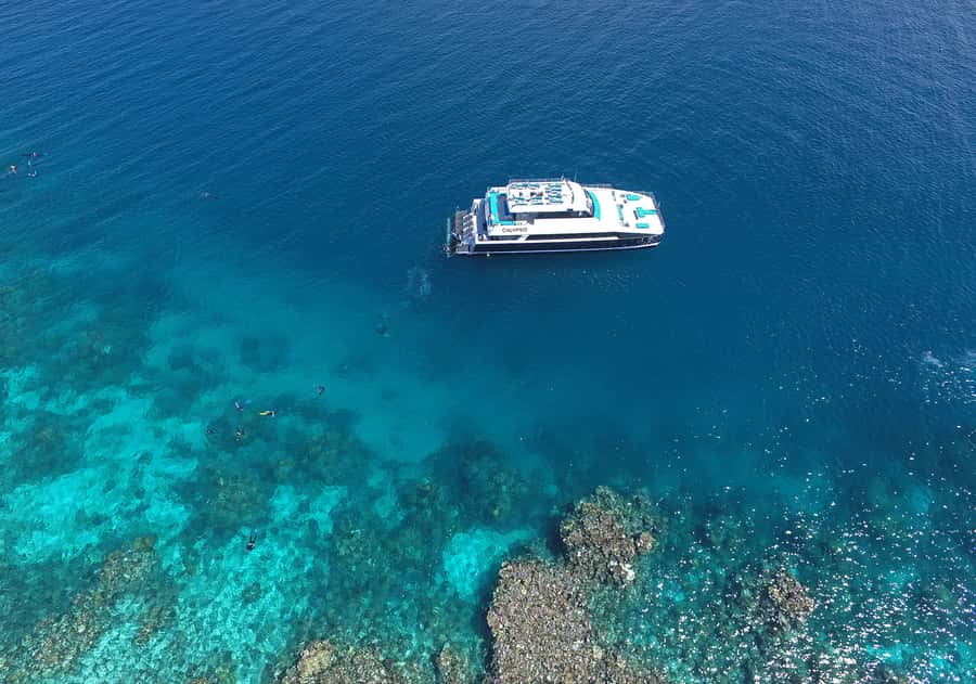Port Douglas: Outer Barrier Reef Snorkel and Dive Options - Scuba Option on the Same Trip: Support for First Timers