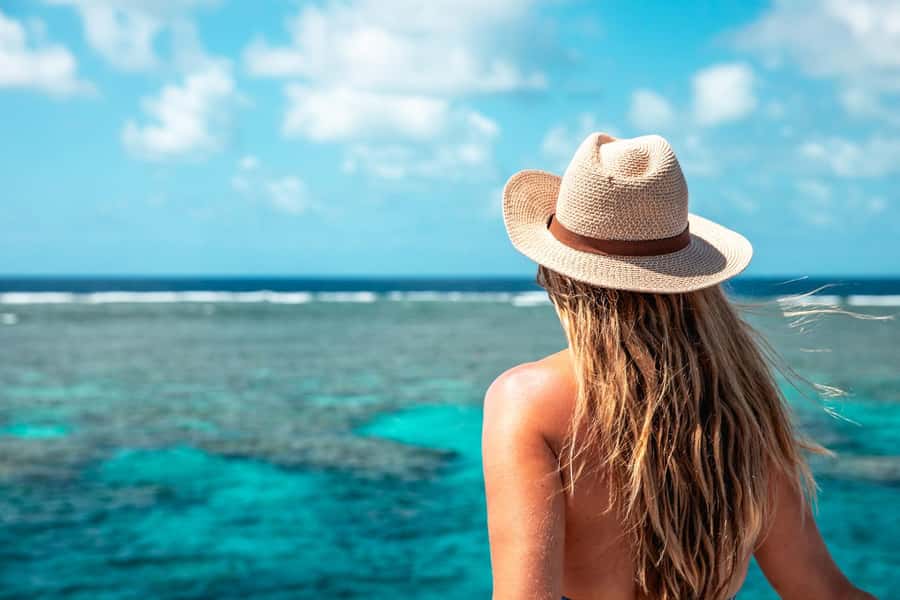 Port Douglas: Outer Barrier Reef Snorkel and Dive Options - What You’ll Actually See: Marine Life Checklist for Planning Your Eyes