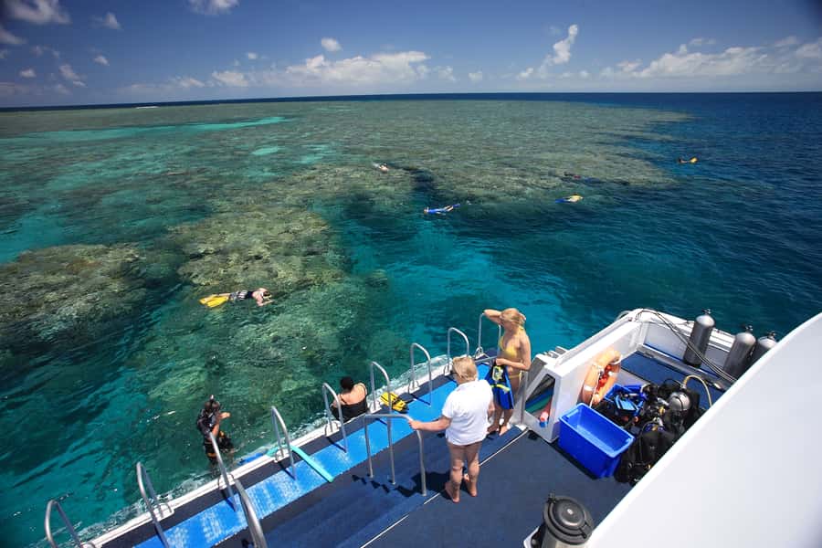 Port Douglas: Outer Barrier Reef Snorkel and Dive Options - Price and Value: How $174 Adds Up (If You Use What’s Included)