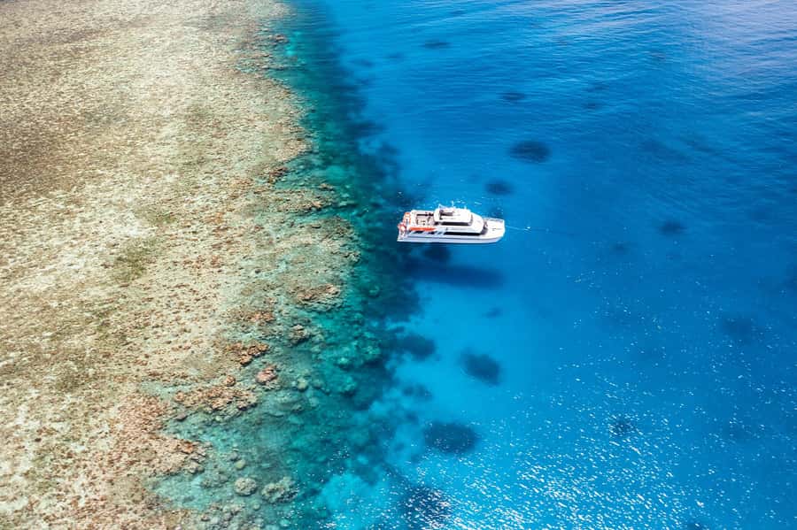 Port Douglas: Poseidon Outer Barrier Reef Dive and Snorkel - Key highlights to look for