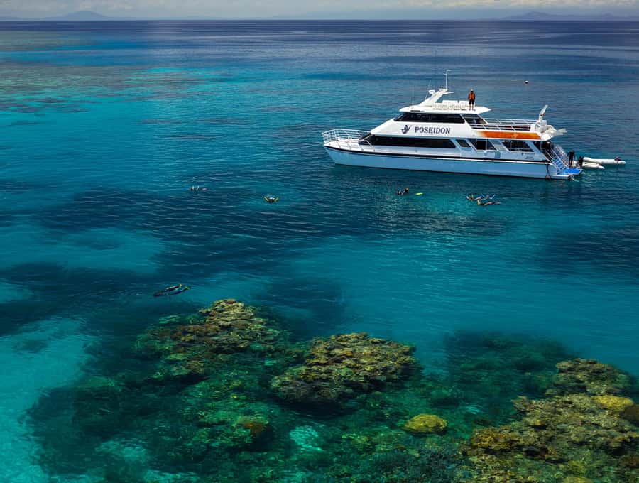 Port Douglas: Poseidon Outer Barrier Reef Dive and Snorkel - Price and value: is $213 worth it for a full reef day?