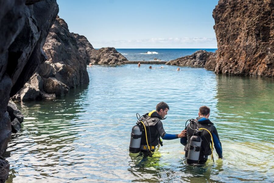Porto Moniz: Diving with Sharks and Rays in Madeira Aquarium - Price and value: what $159 really buys you