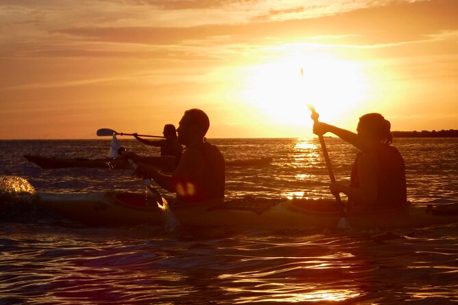 Porto Selvaggio kayak tour + cliff diving + cold spring immersion - What you’ll remember most on Porto Selvaggio