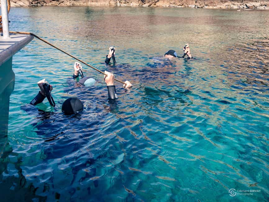 Porto-Vecchio: beginner diving in the Cerbicale Islands in the reserve - Palombaggia to the Cerbicale Islands: What Makes This Intro Work