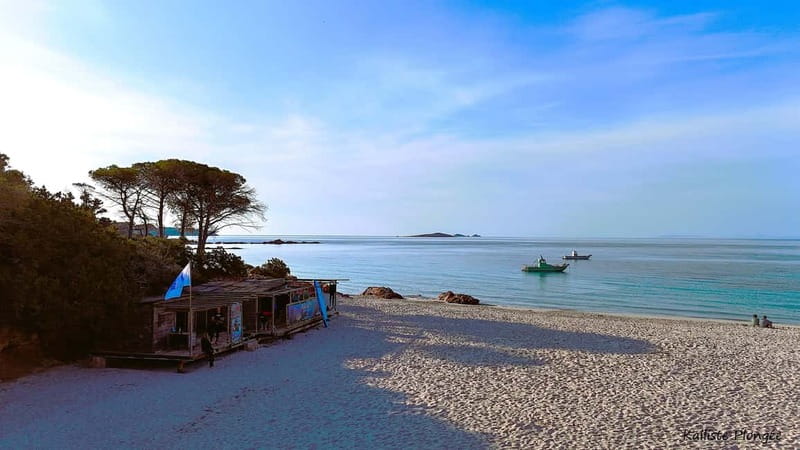 Porto-Vecchio: beginner diving in the Cerbicale Islands in the reserve - Cost and Value: Is $171 Worth It?
