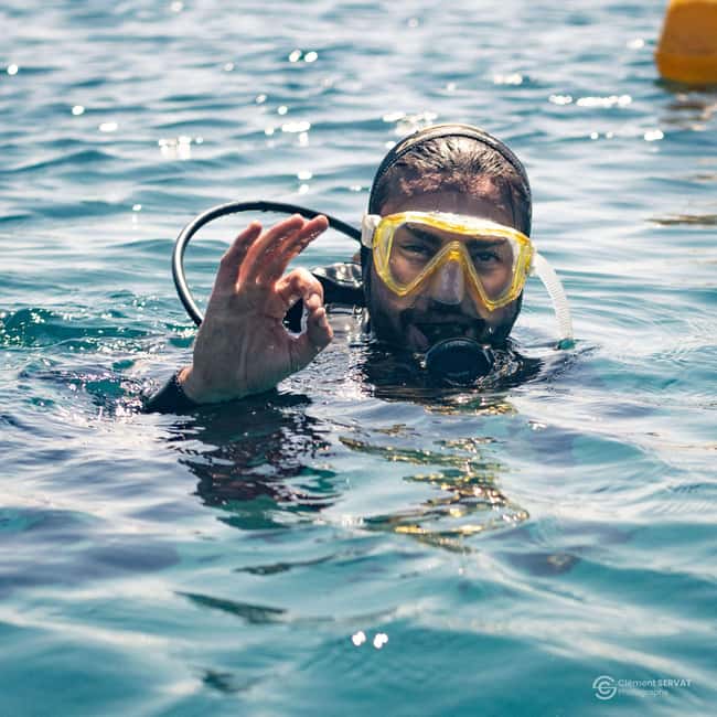 Porto-Vecchio: beginner diving in the Cerbicale Islands in the reserve - Languages, Guides, and the Human Touch