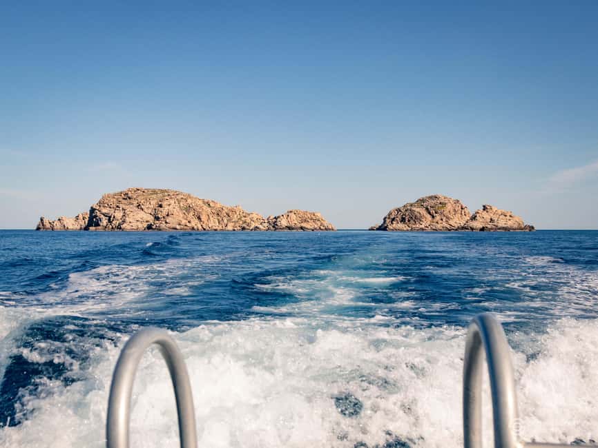 Porto-Vecchio: beginner diving in the Cerbicale Islands in the reserve - Practical Tips Before You Go (So You Enjoy It More)