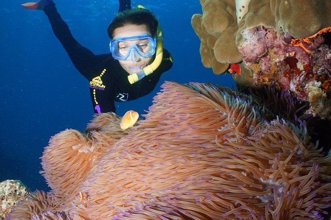 Poseidon Outer Great Barrier Reef Snorkeling and Diving Cruise from Port Douglas - Choosing snorkeling-only vs scuba sessions (and what changes)