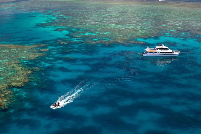 Poseidon Outer Great Barrier Reef Snorkeling and Diving Cruise from Port Douglas - Stop 2: snorkel lagoons with drop-offs plus guided systems