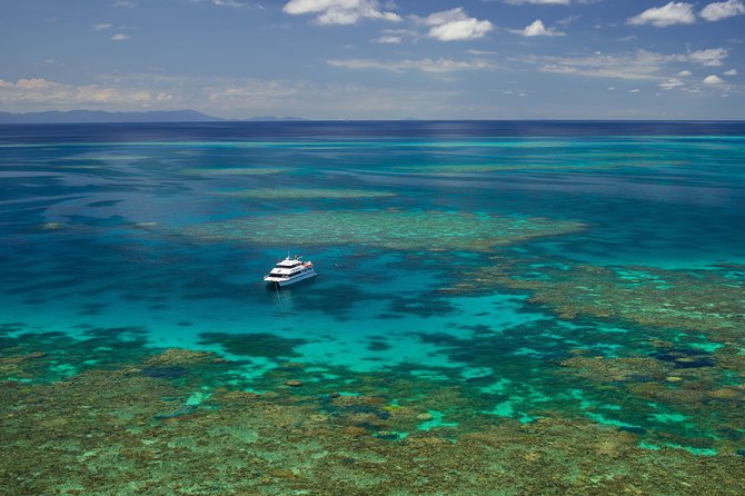 Poseidon Outer Great Barrier Reef Snorkeling and Diving Cruise from Port Douglas - How the day runs: morning tea to afternoon tea, with real reef time