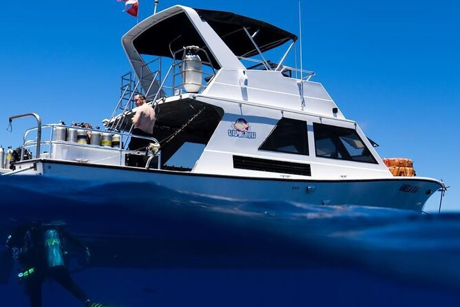 Premium Afternoon Scuba Charter for All Certified Diver Levels - A Small-Group Afternoon Charter From Poipu