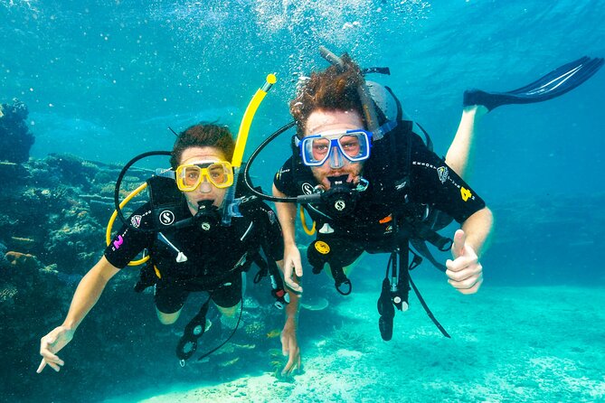 Premium Guided Dive Trip - Outer Great Barrier Reef - Key Highlights You’ll Feel Immediately