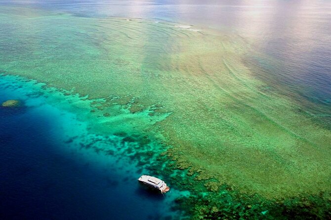 Premium Guided Dive Trip - Outer Great Barrier Reef - What the Guide Actually Adds (Beyond Just “Leading”)