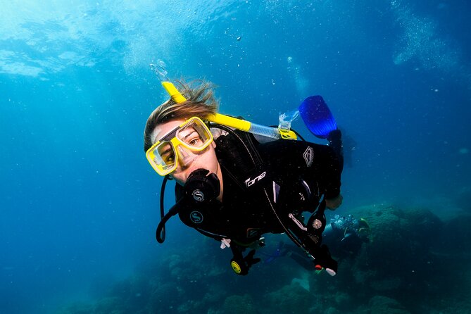 Premium Guided Dive Trip - Outer Great Barrier Reef - The Return Trip: Logging the Day and Reliving the Highlights