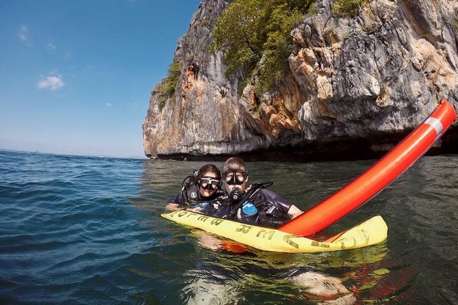 Premium Guided Scuba Diving Day Trip for Certified Divers - Key highlights you’ll feel on the day