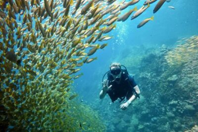 Premium Guided Scuba Diving Day Trip for Certified Divers - Board your small dive boat: what M/V Matcha nu means for your day