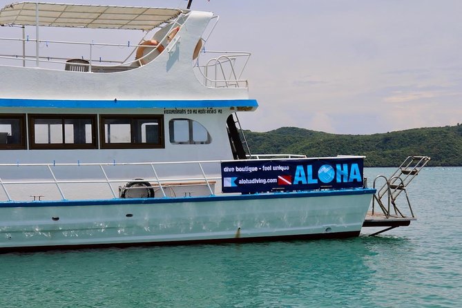 Premium Guided Scuba Diving Day Trip for Certified Divers - The guide team: calm pros with real names