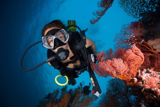 "Premium" Non Certified Beginner Scuba Diving in Racha Yai/Noi - Quick highlights