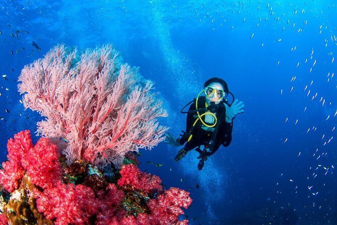 "Premium" Non Certified Beginner Scuba Diving in Racha Yai/Noi - Instructor support that shows up in real moments
