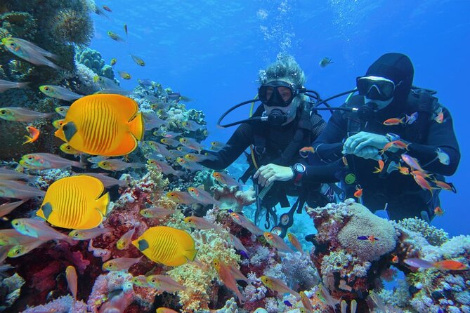 "Premium" Non Certified Beginner Scuba Diving in Racha Yai/Noi - Safety and insurance: what’s covered, and what you must not ignore