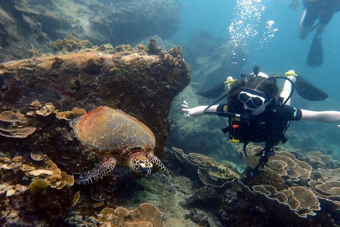 "Premium" Non Certified Beginner Scuba Diving in Racha Yai/Noi - Small group size (max 15) and why it changes your learning curve