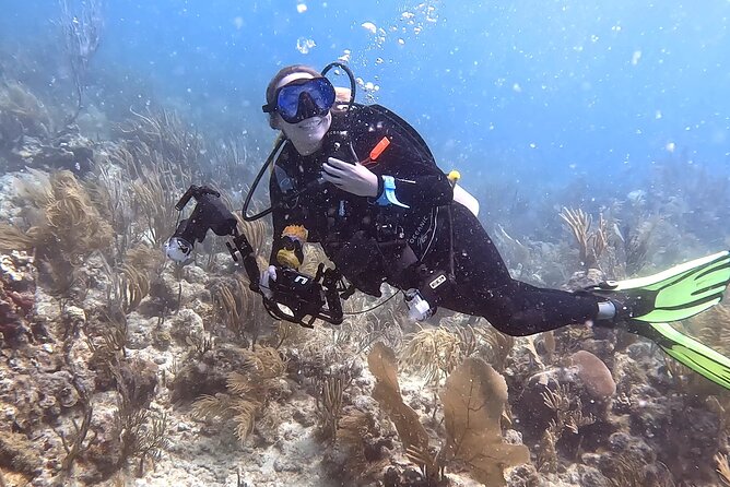 Private 2-Tank Dive with PADI Instructor for Certified Divers - Key things I’d plan around