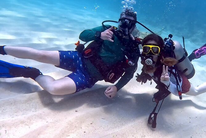 Private 2-Tank Dive with PADI Instructor for Certified Divers - The Two-Tank Plan: What the Reef Stops Are Like