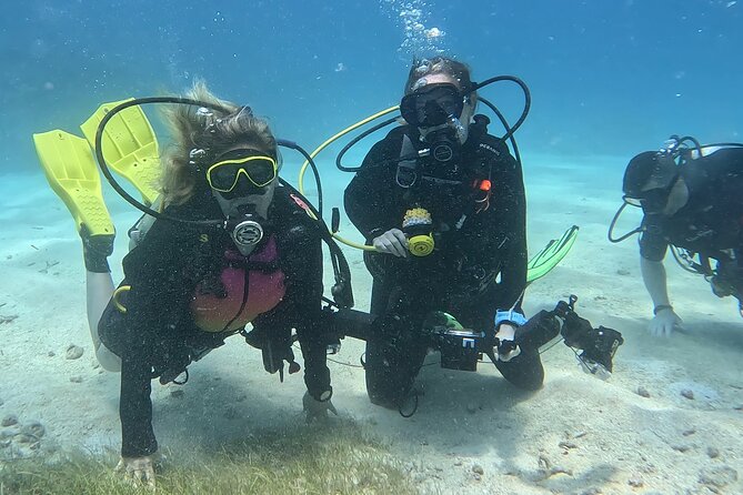 Private 2-Tank Dive with PADI Instructor for Certified Divers - Coral Restoration Farm Tour: More Than Just Fish Photos