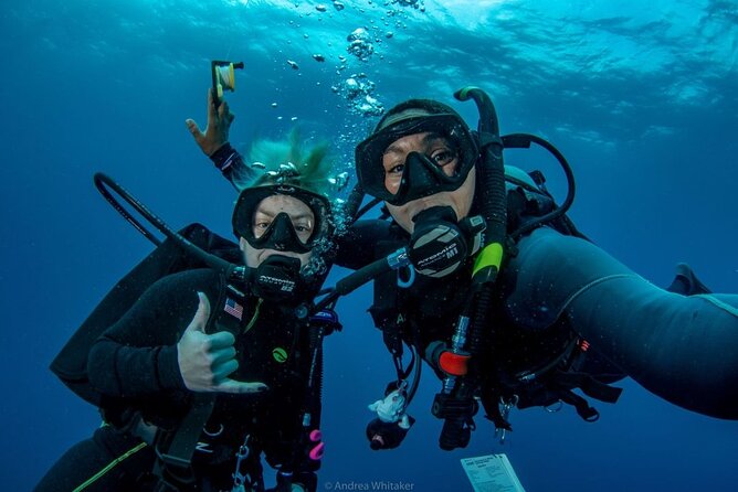 Private 2-Tank Dive with PADI Instructor for Certified Divers - Getting Fed: Lunch on Board and the Drinks That Make It Feel Like a Vacation