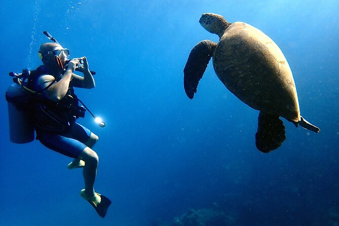 Private and Personalized Scuba Diving Adventures for All Experience Levels - The 3-hour plan: timing, where you start, and how the stops flow