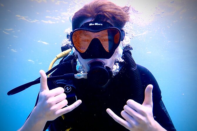 Private and Personalized Scuba Diving Adventures for All Experience Levels - What you’ll likely see: turtles, rays, and reef fish highlights