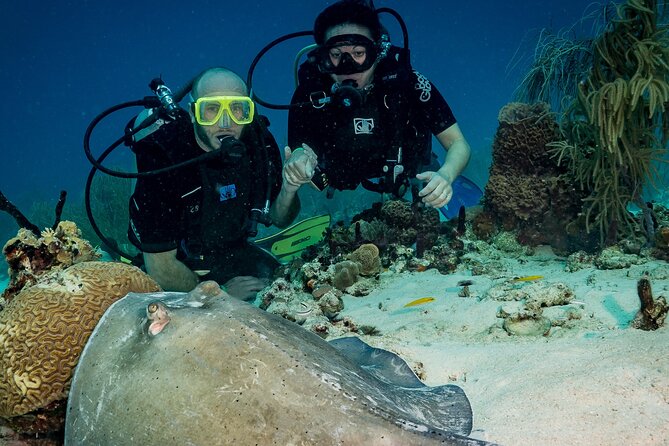 Private Bayahibe 3 Tank Diving with Lunch from Punta Cana - Morning in the water: two guided sessions with boat snacks