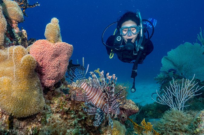 Private Bayahibe 3 Tank Diving with Lunch from Punta Cana - Equipment, guides, and what you need to watch for