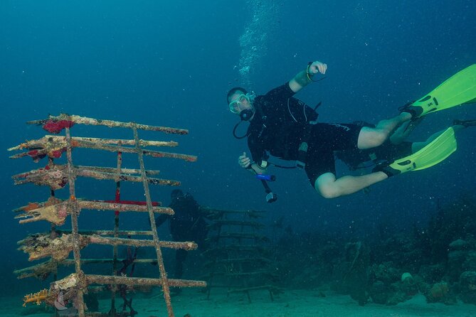 Private Bayahibe 3 Tank Diving with Lunch from Punta Cana - Your 3-session plan: how the guide chooses the sites