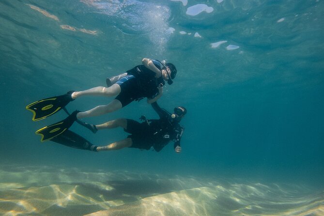 Private Beginner Scuba Diving Experience in Cabo San Lucas - From the marina to your wetsuit: what the start feels like