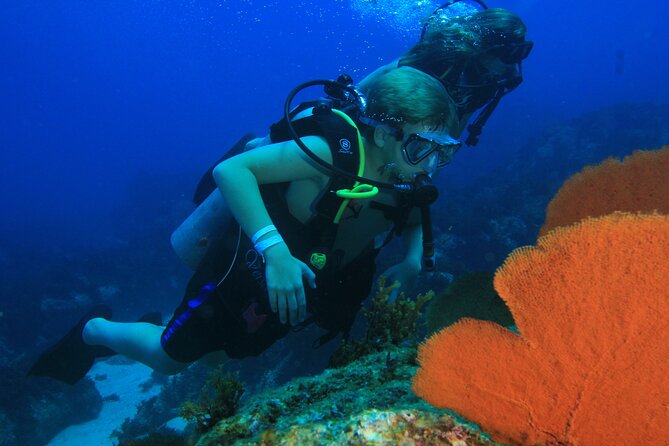 Private Beginner Scuba Diving Experience in Cabo San Lucas - Price and value in real terms: what $175 buys you