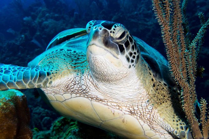 Private Discover Scuba Diving - Where you meet and how the day runs