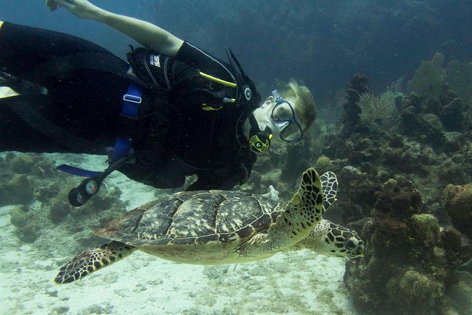 Private Discover Scuba Diving - The shallow-water skills that set the tone
