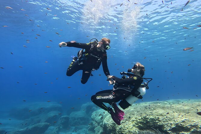 Private Discover Scuba Diving Experience in Messinia - Safety Briefing and Shallow-Water Practice (Where Confidence Starts)