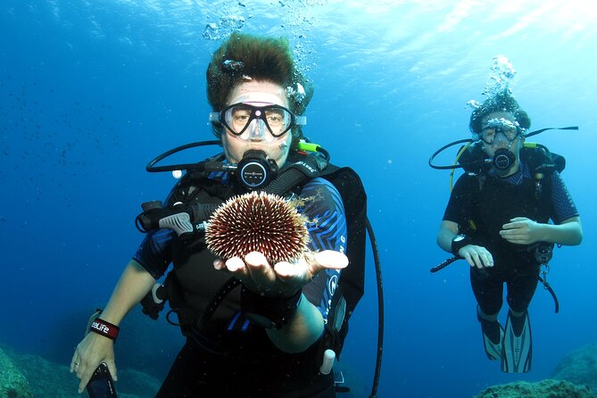 Private Discover Scuba Diving for Beginners in Athens with Pickup - Weather and safety reality check (so you don’t get surprised)