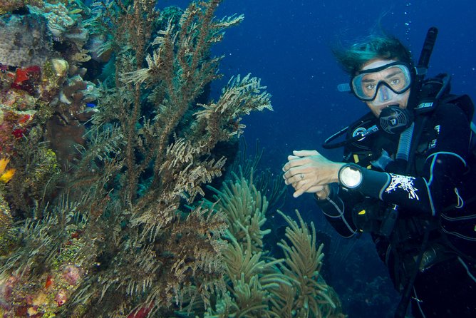 Private Discover Scuba Diving - Meet the people: instructors who make you feel safe