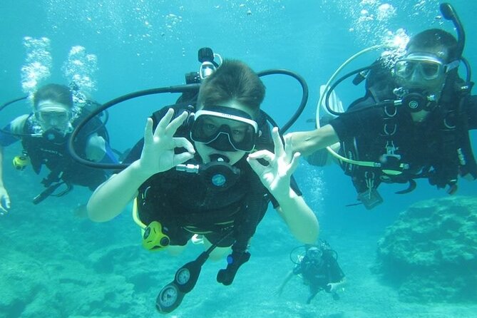 Private Discovery Dive + Photos & Videos - Who This Experience Suits Best