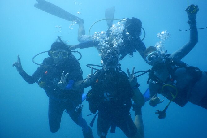 Private Discovery Scuba Diving with Sea Turtles - The 3.5-hour private format: how the timing feels